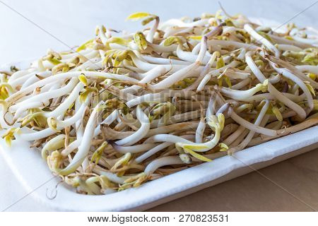Package Of Bean Sprouts / Mungbean Or Soybean