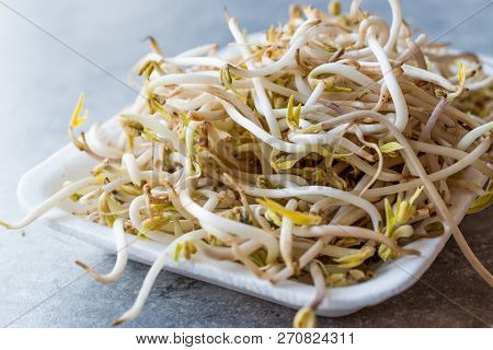 Package Of Bean Sprouts / Mungbean Or Soybean