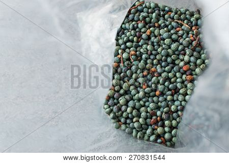 Citlembik / Northern Hackberry Seeds / Terebinth Berry / Celtis Occidentalis