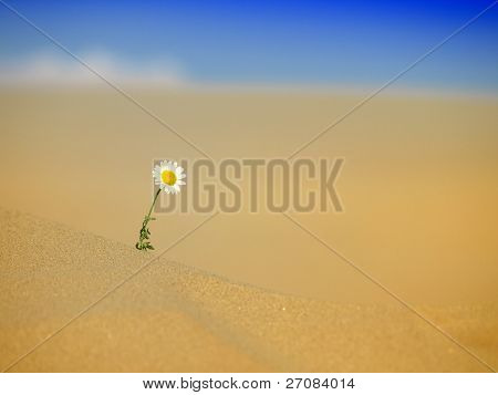 Overlevelse