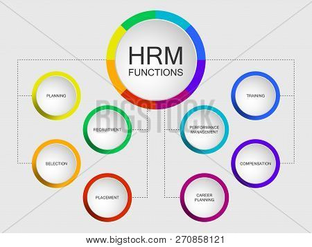 Vector Slide Template With Circle Diagram. Human Resources Management Or Hrm Functions Diagram Schem