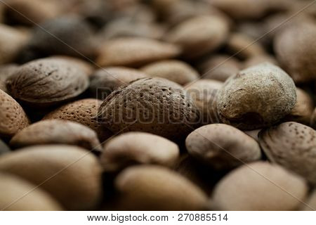 Almonds Texture And Background For Design. Close Up View Of Shelled Almonds. Heap Of Almonds. Organi