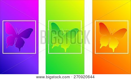 Soft Color Gradients, Insect Butterfly, Modern Design For A Phone Screen, Wavy Color, Iridescent Smo
