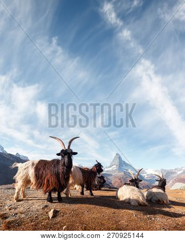 Picturesque view of Matterhorn Cervino peak, dirt road and Stellisee lake in Swiss Alps. Zermatt resort location, Switzerland. Landscape photography