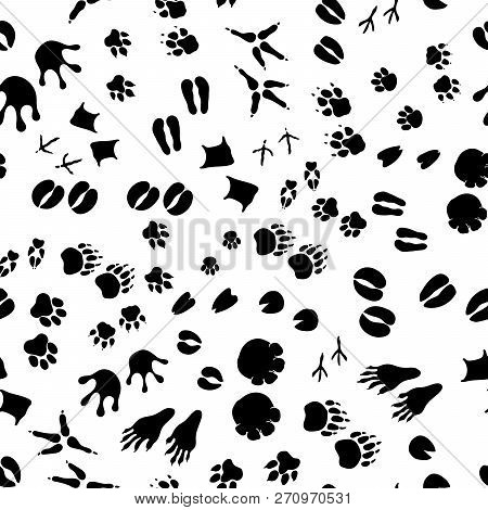 Animal And Bird Trace Silhouettes Of Steps Imprints, Seamless Pattern On White