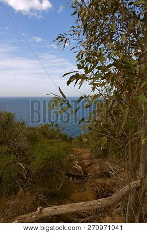 A View Through The Bush Along An Eroded Trail To The Ocean Along The Walk Across Crackneck Lookout. 