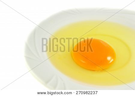 Egg Yolk Isolated / Fresh Broken Egg With Yolk Egg On White Plate Isolated On White Background