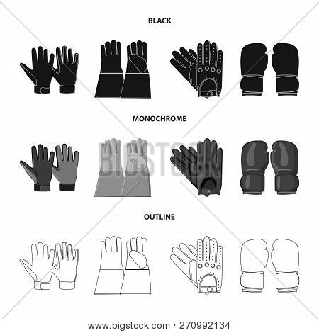 Vector Illustration Of Glove And Winter Sign. Set Of Glove And Equipment Stock Vector Illustration.