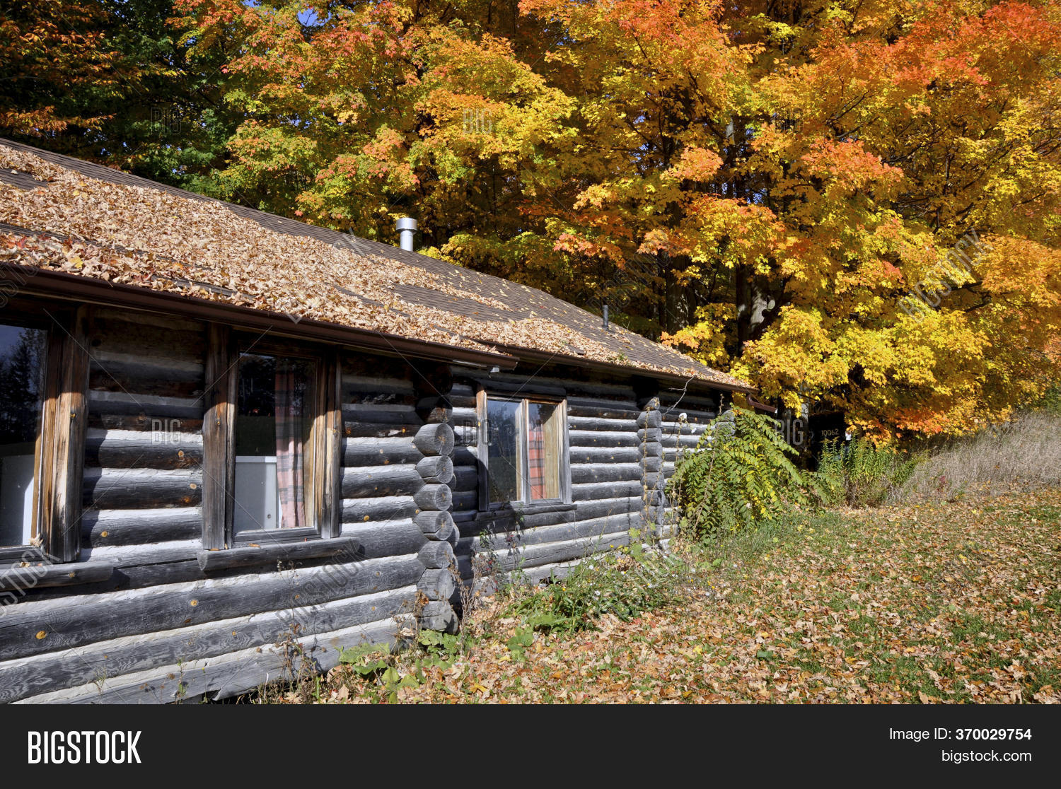 King City, Ontario / Image & Photo (Free Trial) Bigstock