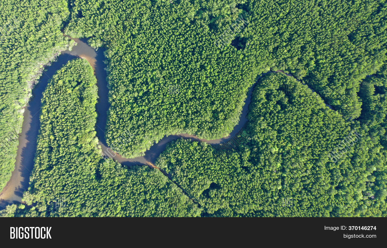 Aerial Photo Mangrove Image & Photo (Free Trial) | Bigstock