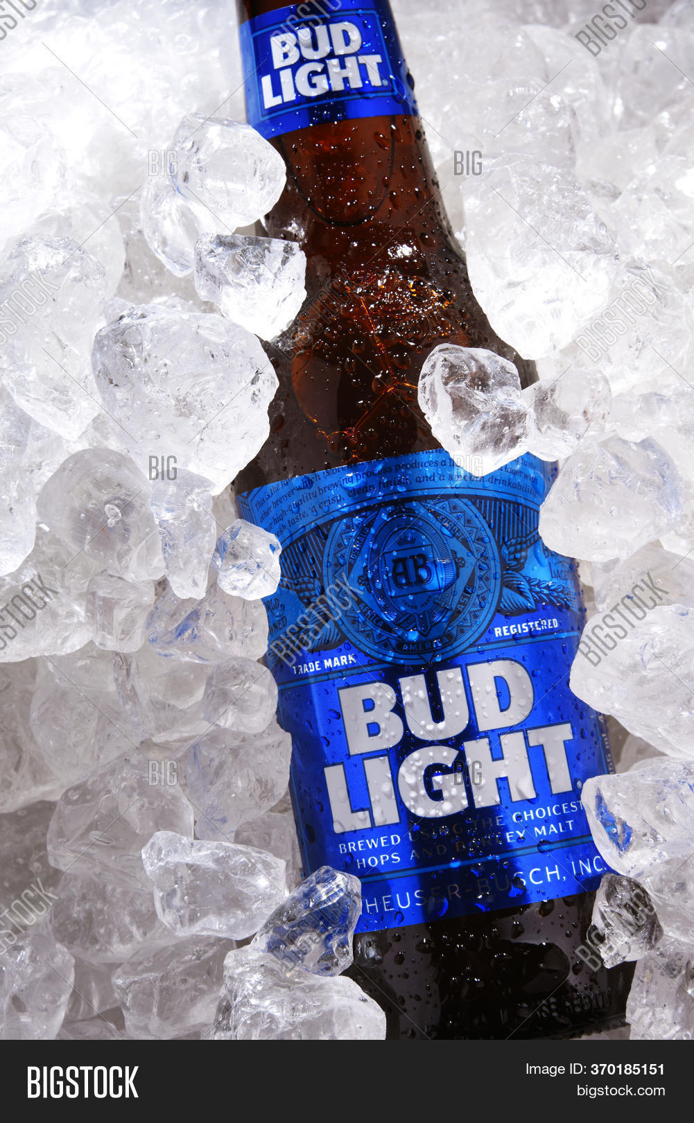Bottle Bud Light Beer Image & Photo (Free Trial) Bigstock