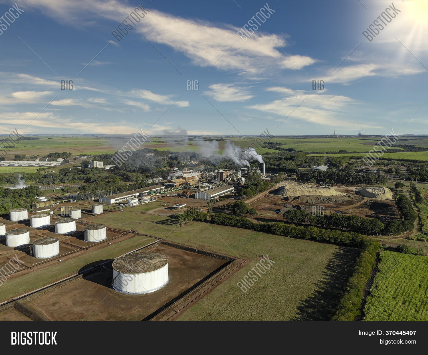 Sugar Cane Industry, Image & Photo (Free Trial) Bigstock