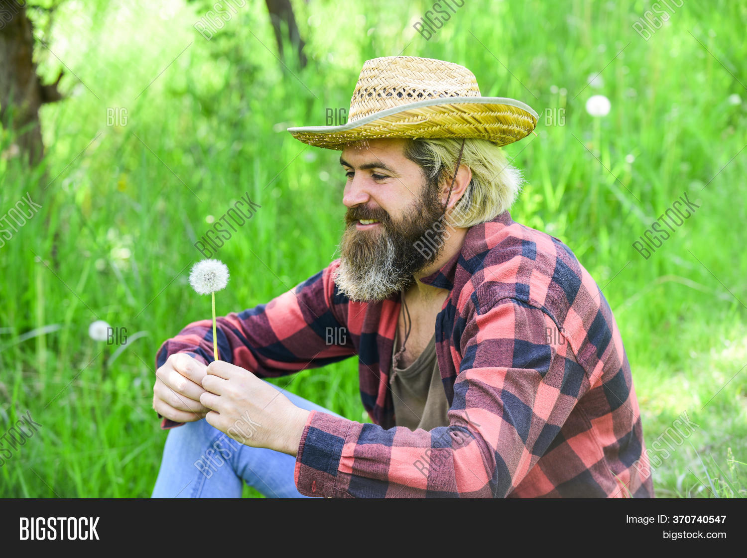 Farmer Blow Dandelion Image & Photo (Free Trial) Bigstock