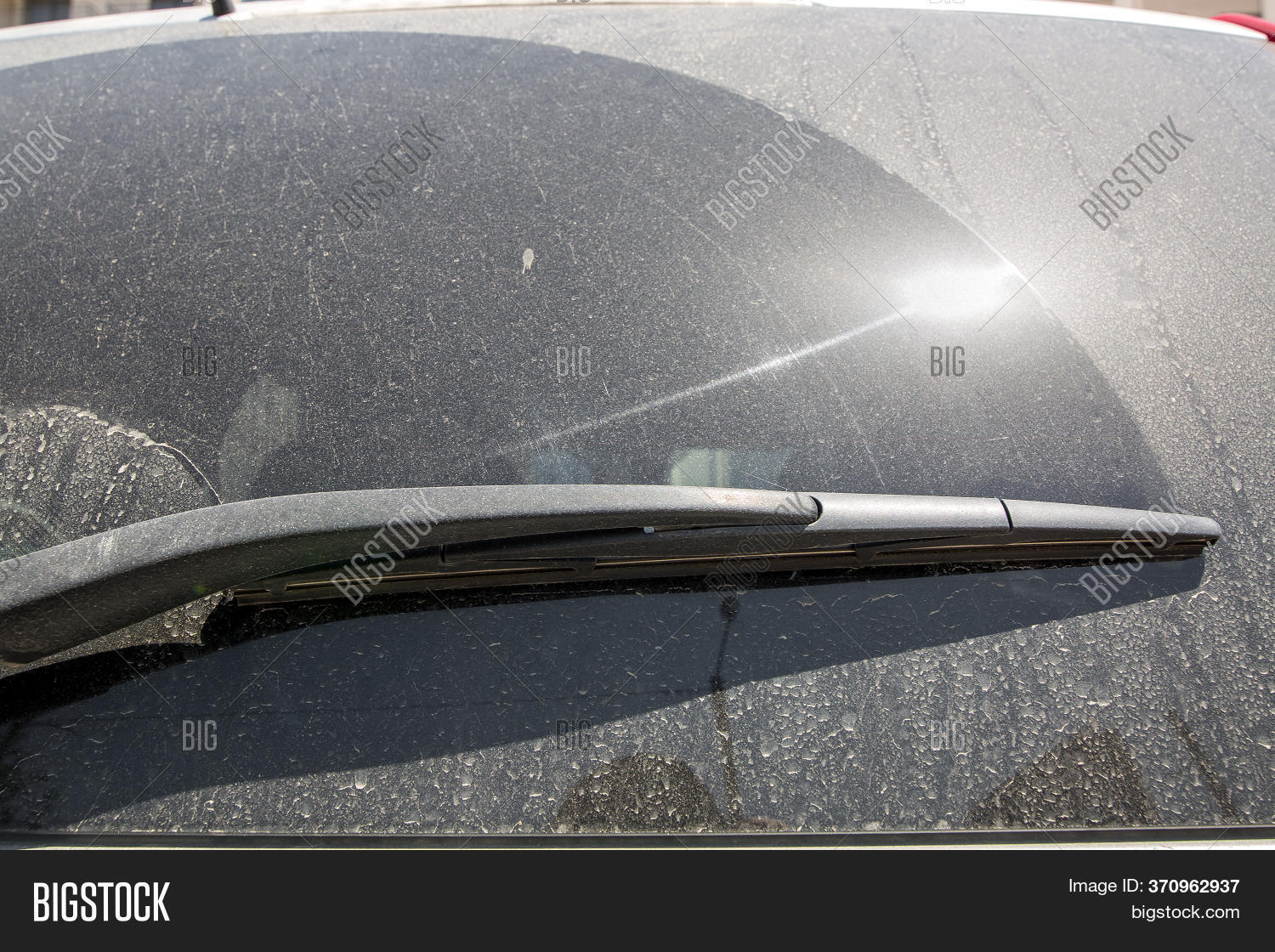 Back Window Dirty Car Image & Photo (Free Trial) Bigstock