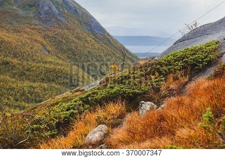 Norwegian Mountain Landscape During Hiking To Halls Fortopp Peak, With A View On Stetind, Northern N