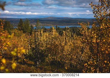 Swedish Autumn Fall Vibrant Landscape During Hiking To Kurravaara Mountain In Norrbotten County, Kir