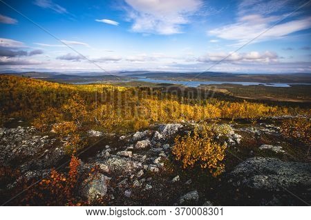 Swedish Autumn Fall Vibrant Landscape During Hiking To Kurravaara Mountain In Norrbotten County, Kir