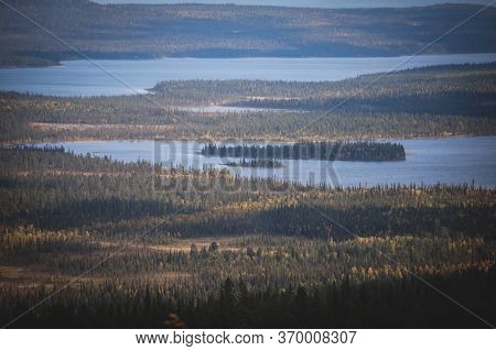 Swedish Autumn Fall Vibrant Landscape During Hiking To Kurravaara Mountain In Norrbotten County, Kir