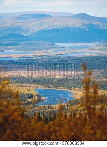 Swedish Autumn Fall Vibrant Landscape During Hiking To Kurravaara Mountain In Norrbotten County, Kir