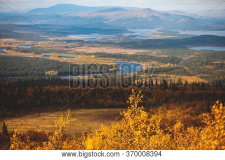Swedish Autumn Fall Vibrant Landscape During Hiking To Kurravaara Mountain In Norrbotten County, Kir
