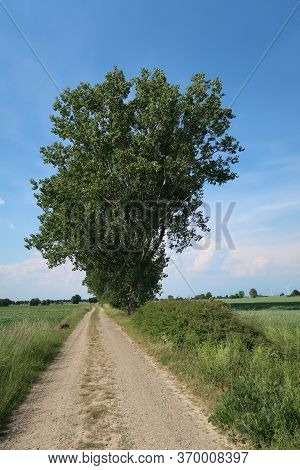 A Track Across The Fields On A Sunny Day
