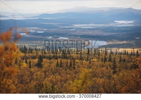 Swedish Autumn Fall Vibrant Landscape During Hiking To Kurravaara Mountain In Norrbotten County, Kir