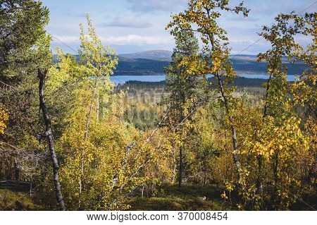 Swedish Autumn Fall Vibrant Landscape During Hiking To Kurravaara Mountain In Norrbotten County, Kir