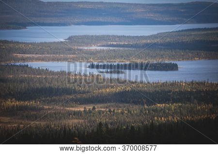 Swedish Autumn Fall Vibrant Landscape During Hiking To Kurravaara Mountain In Norrbotten County, Kir