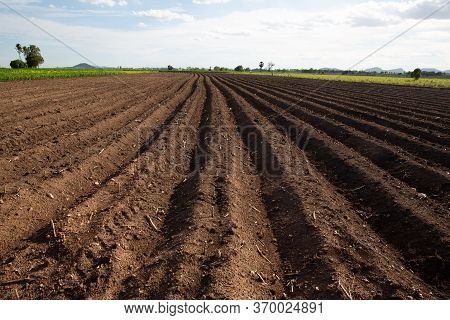 Rows Of Soil Before Planting. Furrows Row Pattern In A Plowed Field Prepared For Planting Crops In S
