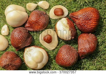 Salak Pondoh Is One Of The Salak Cultivars That Grow Mostly In The Area Of Sleman. Sweet Salacca Zal