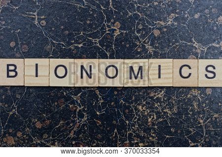 Word Bionomics From Wooden Letters In Black Font On A Brown Shabby Wall With A Pattern