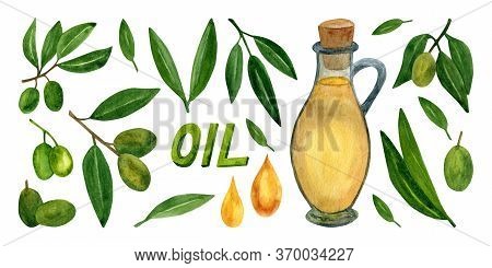 Olives Set With Olive Branches And Fruits For Italian Cuisine Design Or Extra Virgin Oil Food Or Cos