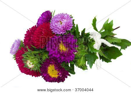 buket af aster blomster
