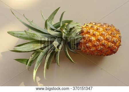 Single Whole Pineapple Tropical Fruit Or Ananas Isolated On White Background. Whole Ananas With Leav