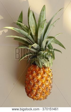 Single Whole Pineapple Tropical Fruit Or Ananas Isolated On White Background. Whole Ananas With Leav