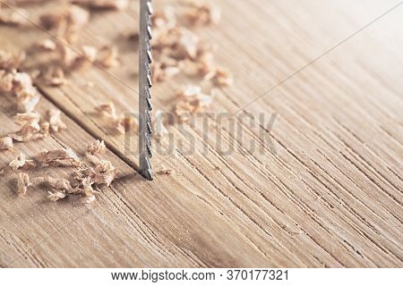 Fret Saw Cutting Wooden Oak Plank. Jig Saw Cut Clean Timber Plank.