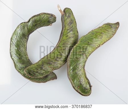 Fresh Inga Fruit. The Guama Fruit Tropical And Exotic From South America