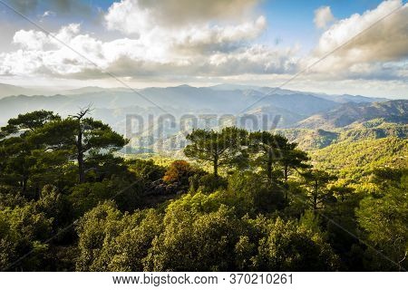 Pano Platres Landscape In Troodos Mountains, Cyprus. Sunset. Travel And Tourism.