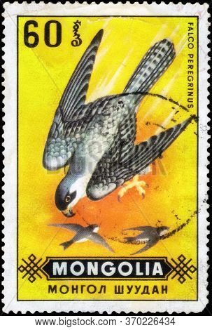 Saint Petersburg, Russia - May 17, 2020: Postage Stamp Issued In The Mongolia With The Image Of The 