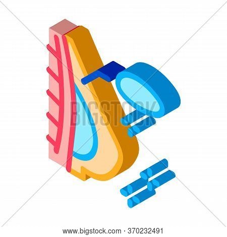 Silicone Breast Augmentation Icon Vector. Isometric Silicone Breast Augmentation Sign. Color Isolate