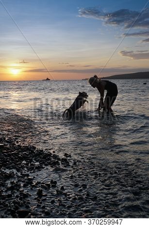 Banyuwangi, Indonesia - May 14, 2020 : A Woman Playing With The Dogs At Watudodol Beach Banyuwangi E