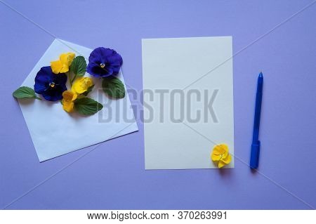 Flower Arrangement. An Envelope, A Blank Sheet Of Paper, A Pen And Panties (viola Wittrockiana) In Y