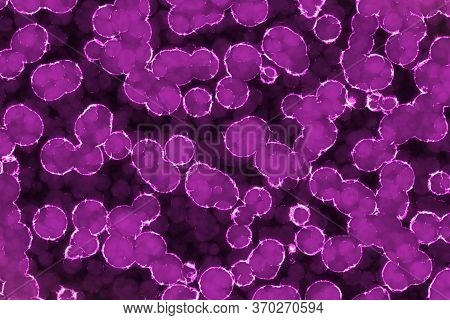 Cute Creative Pink Huge Amount Of Organic Primitive Organisms Computer Graphic Background Or Texture