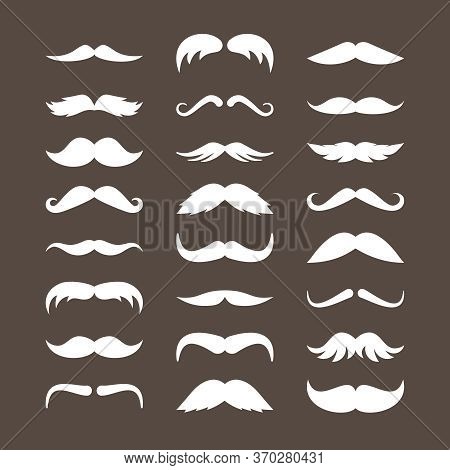 Mustache Set. Stylish Look Mustache Curly White Horseshoe Imperial Pencil Retro Pyramid Italian Narr
