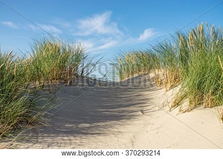 Beach With Sand Dunes And Marram Grass With Blue Sky And Clouds. Skagen Nordstrand, Denmark. Skagerr