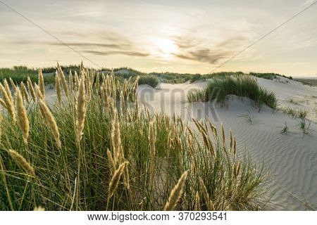 Beach With Sand Dunes And Marram Grass With Soft Sunrise Sunset Back Light. Skagen Nordstrand, Denma
