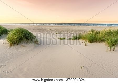 Beach With Sand Dunes And Marram Grass In Soft Purple Sunrise Sunset Light. Skagen Nordstrand, Denma