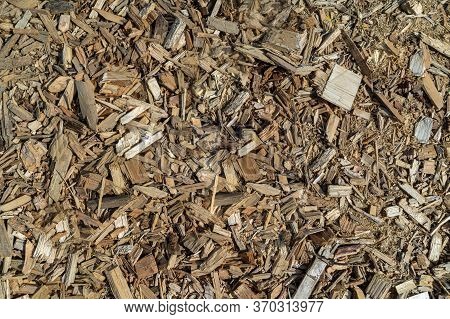 Background Of Small Wood Chips Top View