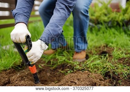 Man Diging Holes A Shovel For Planting Juniper Plants In The Yard. Seasonal Works In The Garden. Lan