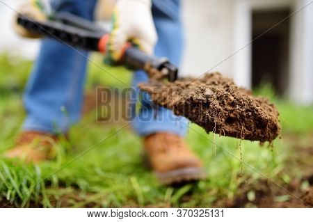 Man Diging Holes A Shovel For Planting Juniper Plants In The Yard. Seasonal Works In The Garden. Lan